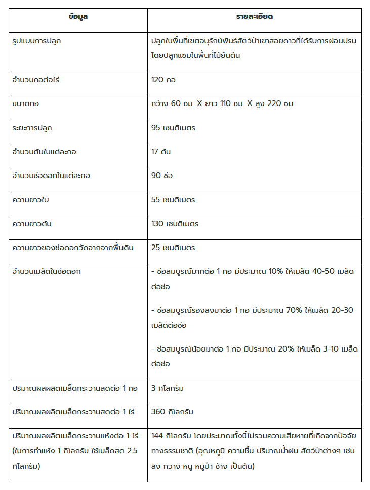 feature_20260326135314_cdde91d7.png