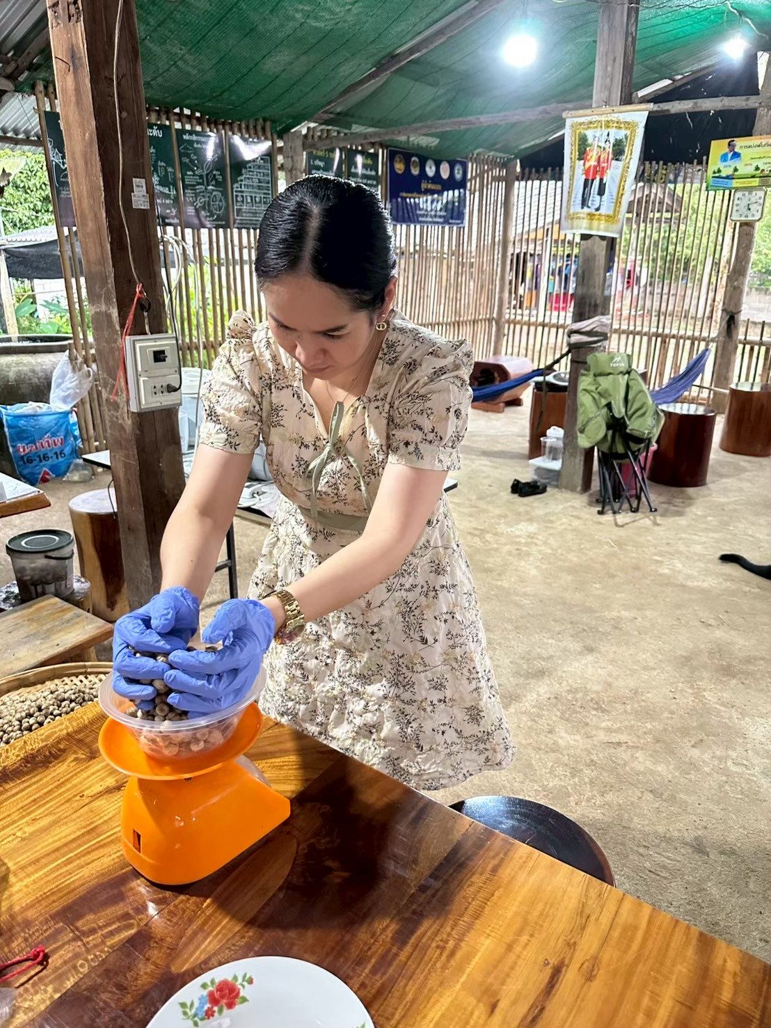 ภาพกิจกรรม