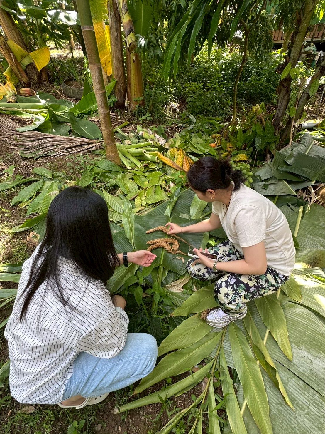 ภาพกิจกรรม